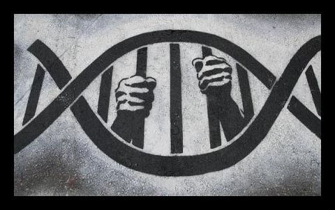 crime-search-and-seizure-dna-bars